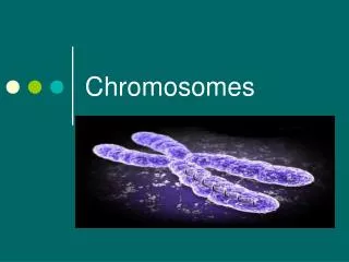 Chromosomes