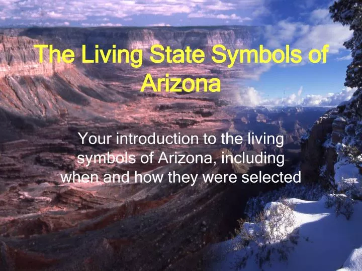 the living state symbols of arizona