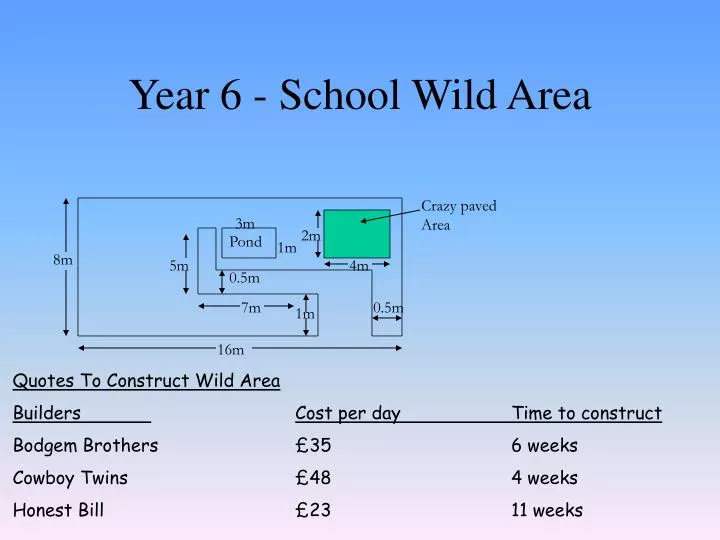 year 6 school wild area