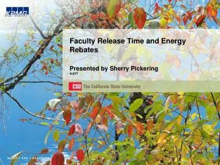 Faculty Release Time and Energy Rebates Presented by Sherry Pickering AUDIT