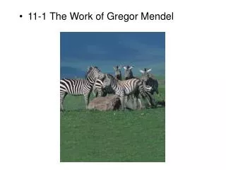 11-1 The Work of Gregor Mendel