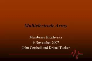 Multielectrode Array