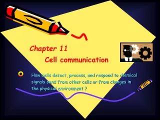Chapter 11 Cell communication