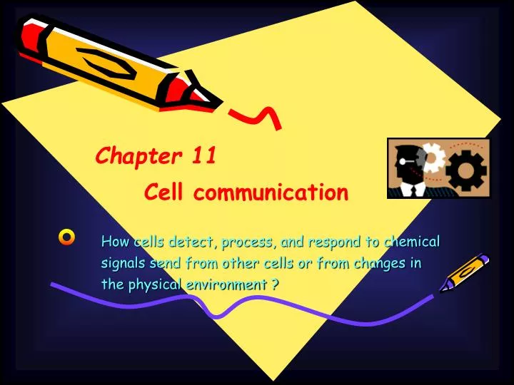 chapter 11 cell communication