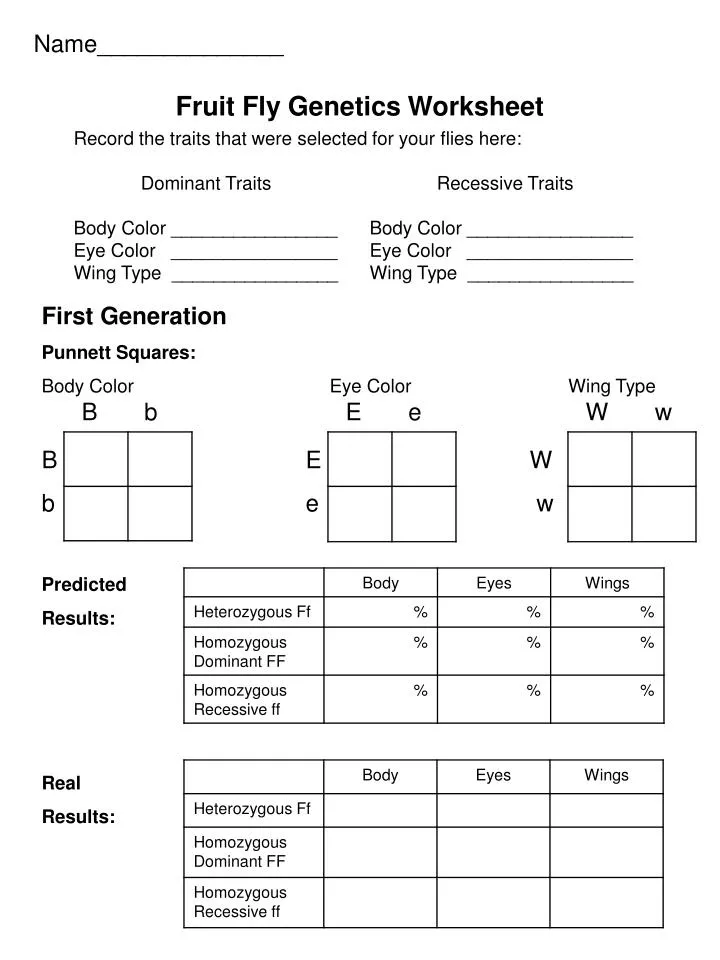 Ppt Name Fruit Fly Genetics Worksheet Powerpoint Presentation Id497352 8670