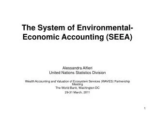 The System of Environmental-Economic Accounting (SEEA)