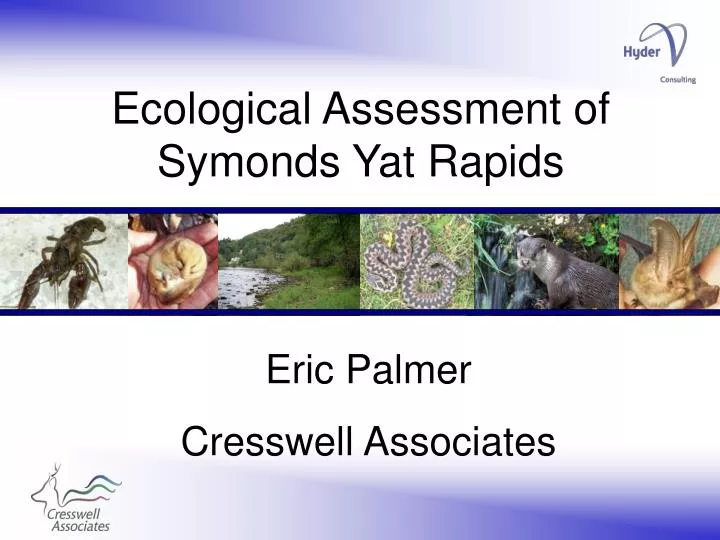 ecological assessment of symonds yat rapids