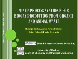 MINLP PROCESS SYNTHESIS FOR BIOGAS PRODUCTION FROM ORGANIC AND ANIMAL WASTE