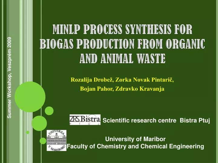 minlp process synthesis for biogas production from organic and animal waste
