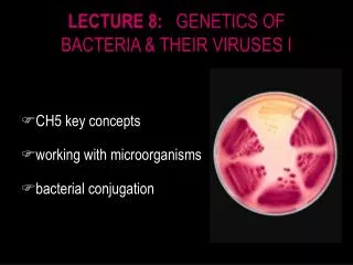 LECTURE 8: GENETICS OF BACTERIA &amp; THEIR VIRUSES I
