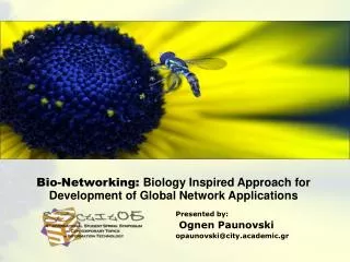 Bio-Networking: Biology Inspired Approach for Development of Global Network Applications