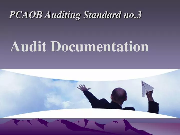 audit documentation