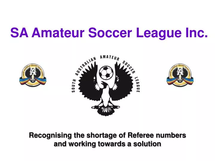 sa amateur soccer league inc