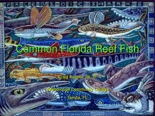 Common Florida Reef Fish