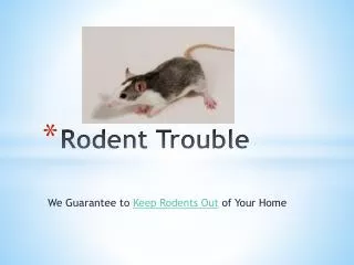 Rodent Problems – We Guarantee To Keep Rodents Out of Your H