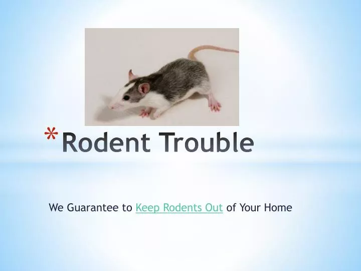 rodent trouble