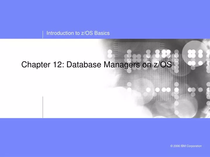chapter 12 database managers on z os
