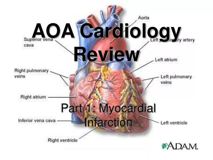 aoa cardiology review