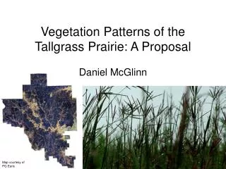 Vegetation Patterns of the Tallgrass Prairie: A Proposal