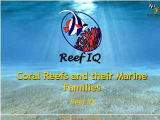 Coral Reefs and their Marine Families Reef IQ