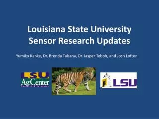 Louisiana State University Sensor Research Updates