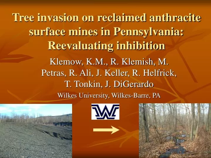 tree invasion on reclaimed anthracite surface mines in pennsylvania reevaluating inhibition