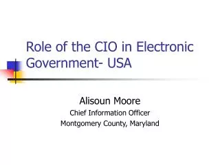 Role of the CIO in Electronic Government- USA