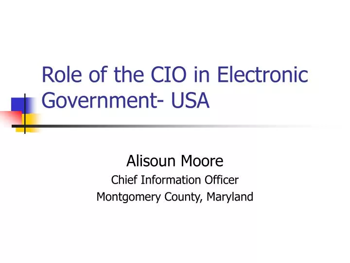 role of the cio in electronic government usa