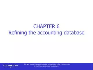 CHAPTER 6 Refining the accounting database