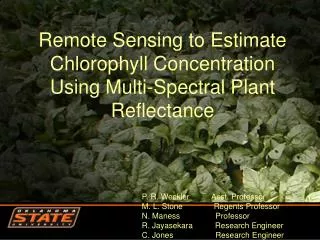 Remote Sensing to Estimate Chlorophyll Concentration Using Multi-Spectral Plant Reflectance