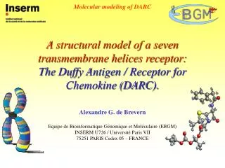 Molecular modeling of DARC
