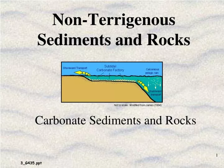 non terrigenous sediments and rocks