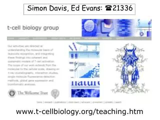 www.t-cellbiology.org/teaching.htm