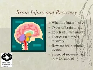 Brain Injury and Recovery