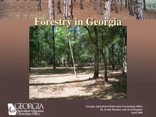 Forestry in Georgia