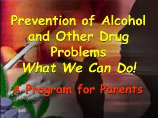 Prevention of Alcohol and Other Drug Problems What We Can Do!