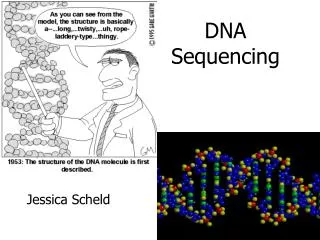 DNA Sequencing