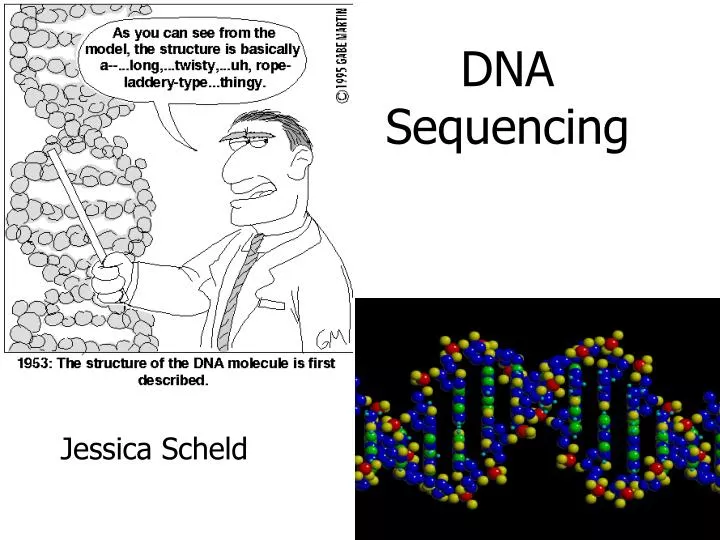 dna sequencing