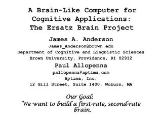 A Brain-Like Computer for Cognitive Applications: The Ersatz Brain Project
