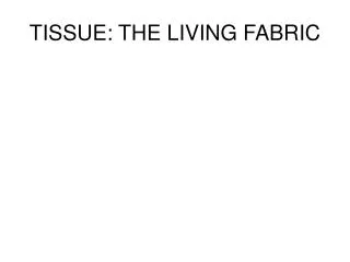 TISSUE: THE LIVING FABRIC