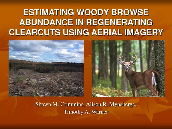 estimating woody browse abundance in regenerating clearcuts using aerial imagery