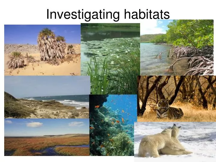 investigating habitats
