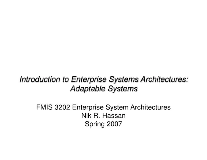 fmis 3202 enterprise system architectures nik r hassan spring 2007