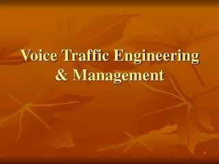 Voice Traffic Engineering &amp; Management