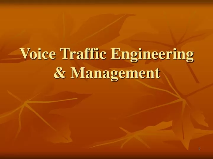 voice traffic engineering management