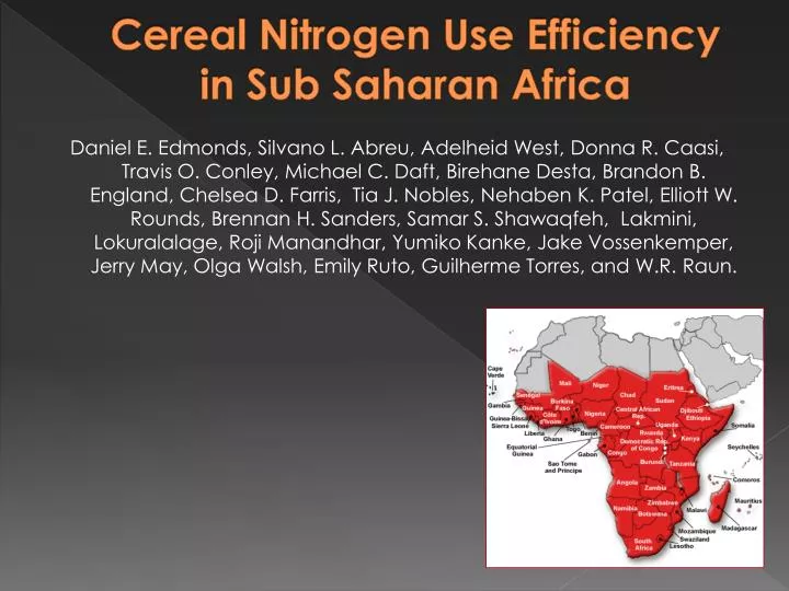 cereal nitrogen use efficiency in sub saharan africa
