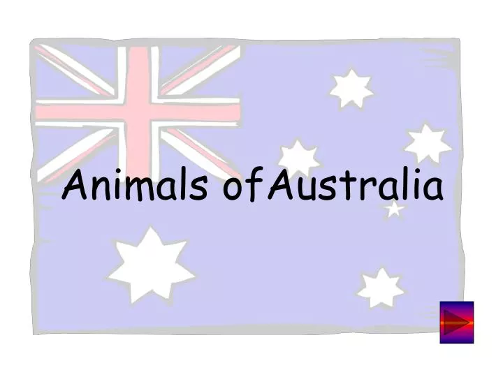 animals ofaustralia
