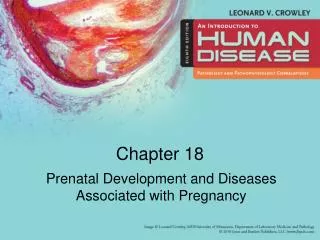 Prenatal Development and Diseases Associated with Pregnancy