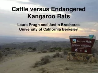 Cattle versus Endangered Kangaroo Rats