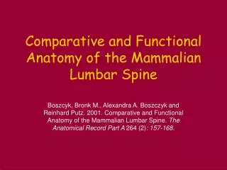Comparative and Functional Anatomy of the Mammalian Lumbar Spine